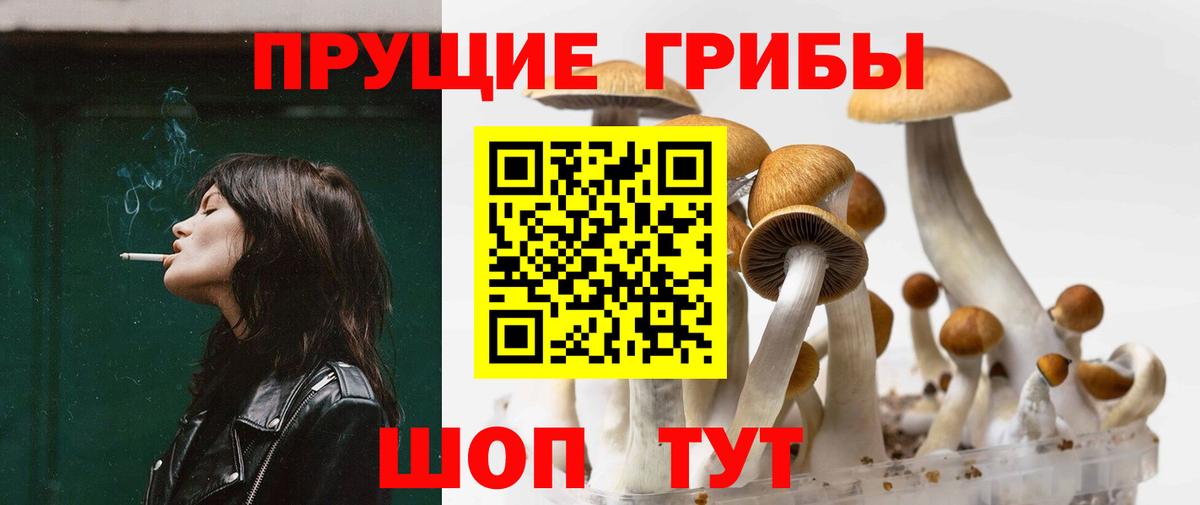 Псилоцибиновые грибы Cubensis  Вход с VPN  продажа наркотиков  Рузаевка 